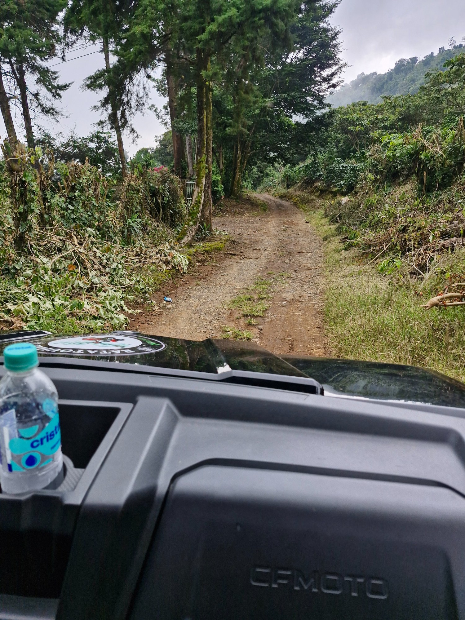 Vehículo todoterreno recorriendo un sendero boscoso en Apaneca